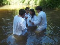 /album/fotogaleria/a100-0967-jpg/