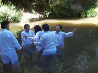 /album/fotogaleria/a100-0984-jpg/