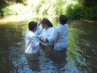 /album/fotogaleria/a100-0985-jpg/
