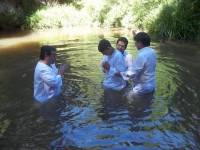 /album/fotogaleria/a100-0993-jpg/