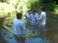 /album/fotogaleria/a100-1000-jpg/