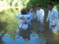 /album/fotogaleria/a100-1001-jpg/